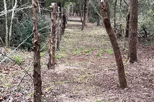 325 Co Rd 1211, Fairfield, TX 75840 - Photo 31