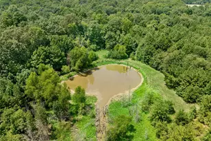 12025 FM195, Bagwell, TX 75412 - Photo 23