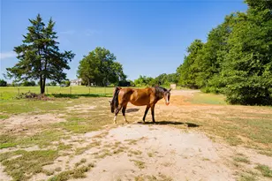 7635 N US Hwy 271, Mt Pleasant, TX 75455 - Photo 39