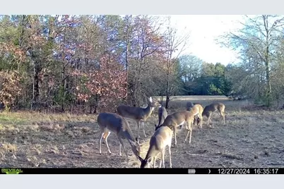 Tbd Fm 274, Bonham, TX 75418 - Photo 11