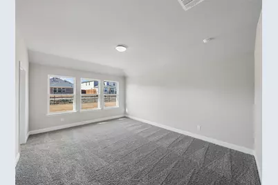 401 Tartane Drive, Anna, TX 75409 - Photo 19