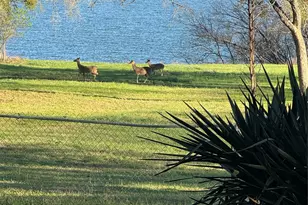 351 County Rd 1723, Clifton, TX 76634 - Photo 39