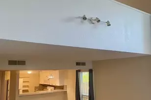 805 Paisley Dr Dr, Spicewood, TX 78669 - Photo 7