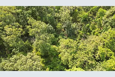 Tbd Pr 4080, Gilmer, TX 75644 - Photo 7