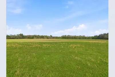 Tbd County Road 1151, Miller Grove, TX 75433 - Photo 11