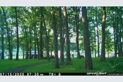 395 County Road 1780 Road, Yantis, TX 75497 - Photo 3