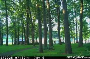 395 County Road 1780 Rd, Yantis, TX 75497 - Photo 3