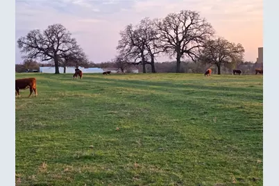 1313 W Sanford Street, Arlington, TX 76012 - Photo 35