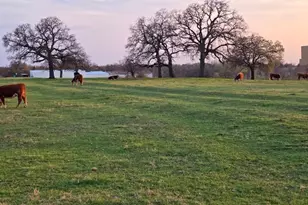 1313 W Sanford St, Arlington, TX 76012 - Photo 35