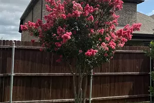 14932 Nightmist Rd, Aledo, TX 76008 - Photo 35