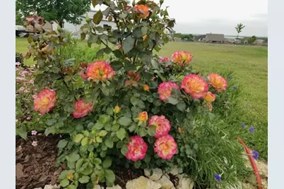 108 High Meadows Court, Decatur, TX 76234 - Photo 27