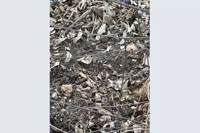 7463 County Road 438, Princeton, TX 75407 - Photo 19