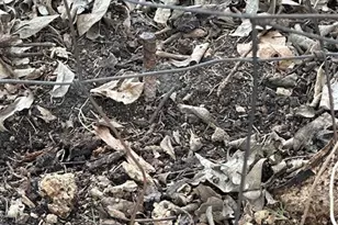 7463 Co Rd 438, Princeton, TX 75407 - Photo 19