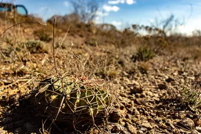Tbd N Westover Road, Seymour, TX 76380 - Photo 19