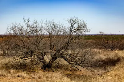 Tbd N Westover Road, Seymour, TX 76380 - Photo 33