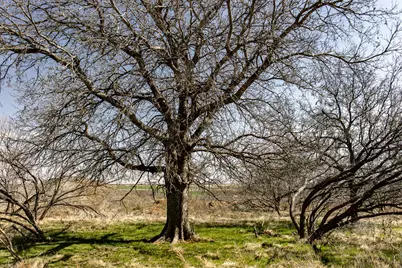 Tbd N Westover Road, Seymour, TX 76380 - Photo 35
