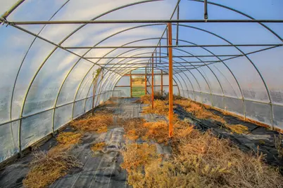 1300 Rodgers Road Rodgers Road, Sunset, TX 76270 - Photo 17