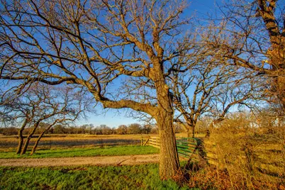 1300 Rodgers Road Rodgers Road, Sunset, TX 76270 - Photo 5
