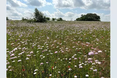 Tbd 1 Cr 343 Road, Dublin, TX 76446 - Photo 15