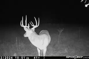 Tbd 1 Cr 343 Rd, Dublin, TX 76446 - Photo 1