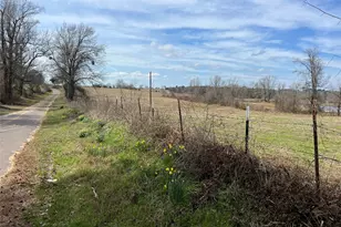 Tbd Cr 1460, Linden, TX 75563 - Photo 17