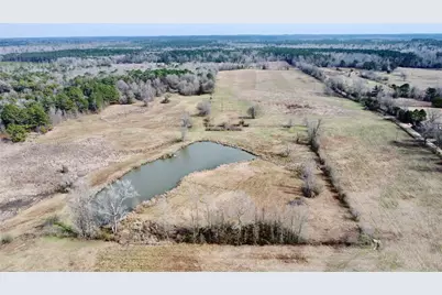 Tbd Cr 1460, Linden, TX 75563 - Photo 7