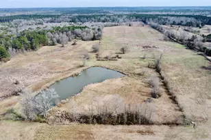 Tbd Cr 1460, Linden, TX 75563 - Photo 7