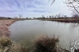 Tbd Cr 1460, Linden, TX 75563 - Photo 15