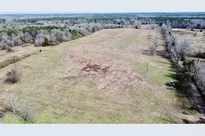 Tbd Cr 1460, Linden, TX 75563 - Photo 3