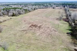 Tbd Cr 1460, Linden, TX 75563 - Photo 3