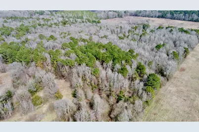 Tbd Cr 1460, Linden, TX 75563 - Photo 11