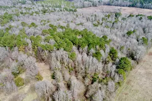 Tbd Cr 1460, Linden, TX 75563 - Photo 11