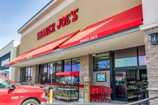 4517 Fargo Dr, Plano, TX 75093 - Photo 31