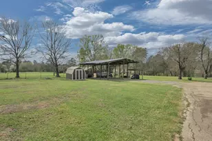1013 Dewitt Hinson Rd, No City, TX 75969 - Photo 29