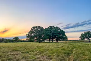 0 Cr 2245, Ivanhoe, TX 75447 - Photo 1