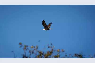 124 Private Road 3209, Bridgeport, TX 76426 - Photo 39