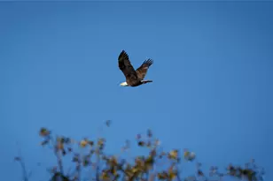 124 Private Road 3209, Bridgeport, TX 76426 - Photo 39