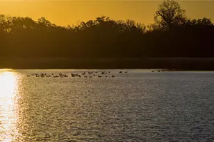 124 Private Road 3209, Bridgeport, TX 76426 - Photo 5