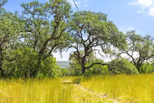 [Address not provided], Marble Falls, TX 78654 - Photo 35