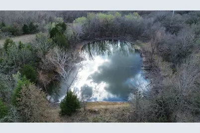 6008 County Road 401, Grandview, TX 76050 - Photo 9