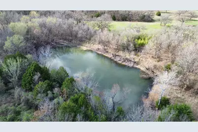 6008 County Road 401, Grandview, TX 76050 - Photo 7