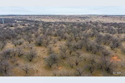 1333 N Hwy 283, Baird, TX 79504 - Photo 5