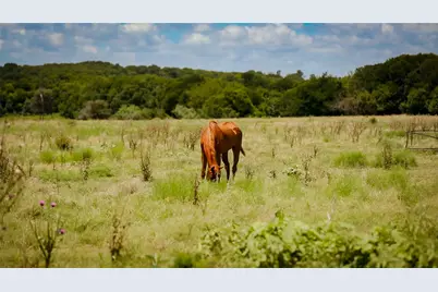 000 Fm 308, Milford, TX 76670 - Photo 1