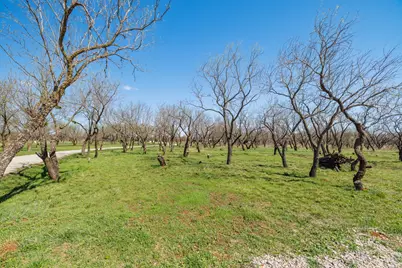 3445 County Road 337, Early, TX 76802 - Photo 29