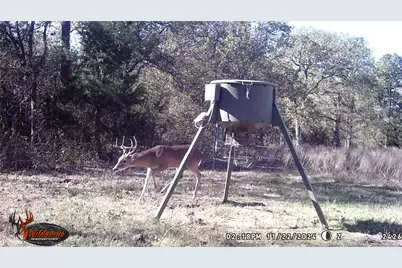 871 Hcr 1212 Road, Blum, TX 76627 - Photo 39