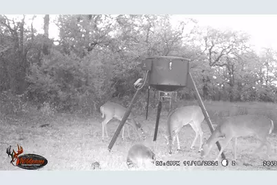 871 Hcr 1212 Road, Blum, TX 76627 - Photo 37