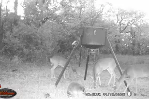 871 Hcr 1212 Rd, Blum, TX 76627 - Photo 37