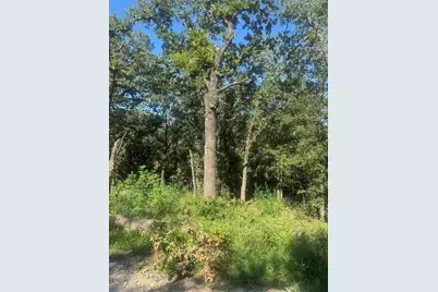 500 Pr 3204, Bridgeport, TX 76426 - Photo 3