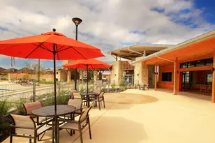 428 Sagano Way, McKinney, TX 75071 - Photo 5