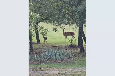 686 Cattlebaron Parc Drive, Fort Worth, TX 76108 - Photo 29